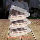 100Pcs Triangle Cheesecake Boxes Cake Box Triangle Pie Holders