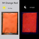100g Glow In Dark Resin Pigment Colorant Dye