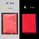 100g Glow In Dark Resin Pigment Colorant Dye
