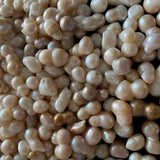 100g Natural Freshwater Cultured Pearl Loose Beads for DIY Birthday