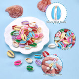 100pcs Cowrie Shell Beads Enamel Loose 20~26x13~18x5~7mm Necklace DIY Jewelry