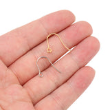 100pcs Stainless Steel Earring Hooks for Crafts