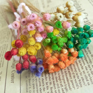100pcs Mixed Dry Flower Glass Bottle Fill Display 6-10mm