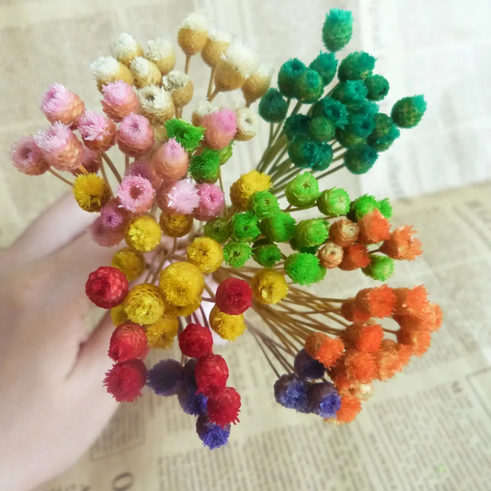 100pcs Mixed Dry Flower Glass Bottle Fill Display 6-10mm