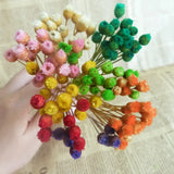 100pcs Mixed Dry Flower Glass Bottle Fill Display 6-10mm