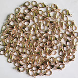 100pcs Alloy Lobster Claw Clasp Jewelry Findings - 6 Sizes