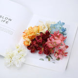10PCS Artificial Burn Edge Hydrangea False Flowers DIY Home Decor