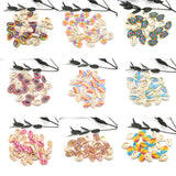 10PCS Freshwater Shell Pendant Mixed Printing Conch Shell Charms