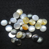 10PCS Saltwater Shell Cabochons Sea Mother Of Pearl Cabs Round 10MM