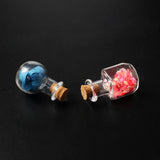 10PCS Small Glass Bottles with Corks