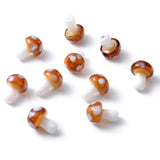 img_12092810