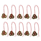10Pcs Chinese Fortune Coins Feng Shui Coins I-Ching Coins Kit Traditional Coins