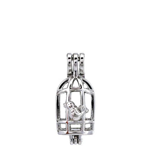 10Pcs Birdcage Charm Bead Cage Aromatherapy Diffuser Pendant for Jewelry Making