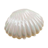 10Pcs Shell Plastic Candy Box Makeup Baby Shower Favor Wedding Decor