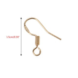 10Pcs Silver Earring Hooks Hypoallergenic French Ear Wires for DIY Jewelry Makin