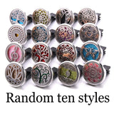 10Pcs Mixed Aromatherapy Car Clip Essential Oil Diffuser
