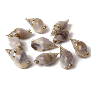 10Pcs Natural Conch Cowrie Pendant Ocean Charm DIY Craft