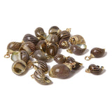 10Pcs Natural Conch Cowrie Pendant Ocean Charm DIY Craft