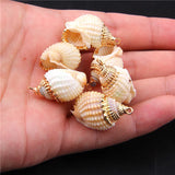 10Pcs Natural Conch Cowrie Pendant Ocean Charm DIY Craft