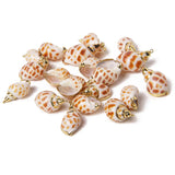 10Pcs Natural Conch Cowrie Pendant Ocean Charm DIY Craft