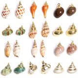 10Pcs Natural Conch Cowrie Pendant Ocean Charm DIY Craft
