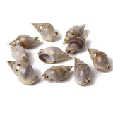 10Pcs Natural Conch Cowrie Pendant Ocean Charm DIY Craft