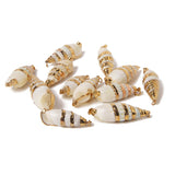 10Pcs Natural Conch Cowrie Pendant Ocean Charm DIY Craft