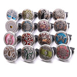 10Pcs Stainless Steel Car Air Freshener Clip Essential Oil Locket