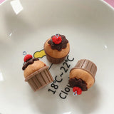 10Pcs 3D Fruit Cake Resin Charms for Jewelry Making DIY