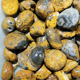 10Pcs Alxa Gobi Agate Stone Qiao Eye Relief Eye Pictographic Stone