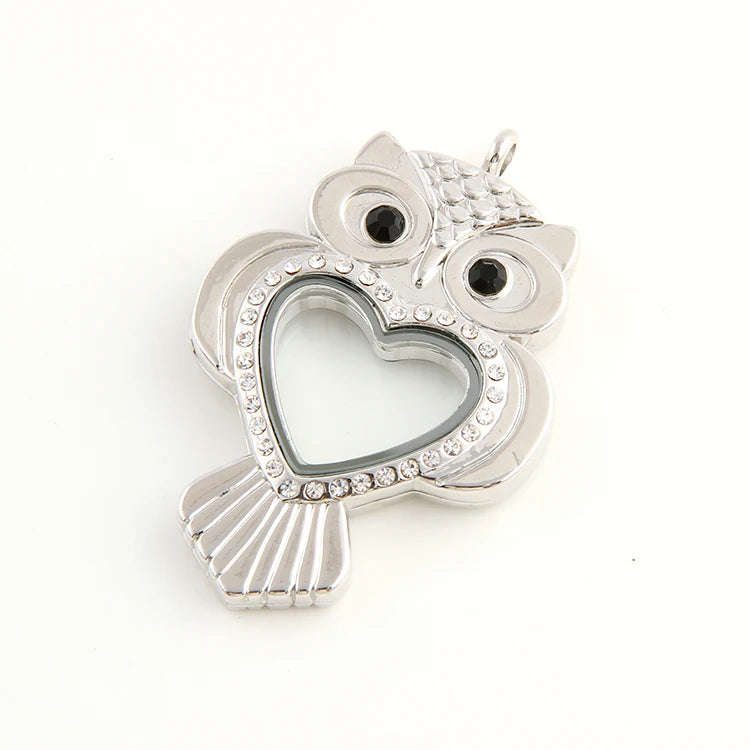 10Pcs Vintage Owl Heart Glass Floating Locket Memory Pendant