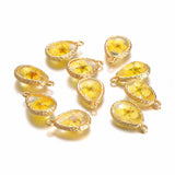10Pcs Copper Water Drop Glass Dried Flower Charms DIY Jewelry Making