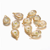 10Pcs Copper Water Drop Glass Dried Flower Charms DIY Jewelry Making
