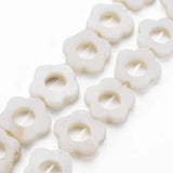 10 Strand Shell Flower Beads for DIY Jewelry Making, 23~24pcs/Strand