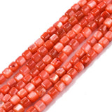 Natural Freshwater Shell Beads Strands for DIY Jewelry Making