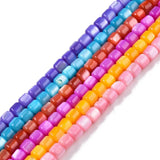 Natural Freshwater Shell Beads Strands for DIY Jewelry Making
