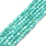 Natural Freshwater Shell Beads Strands for DIY Jewelry Making