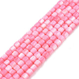 Natural Freshwater Shell Beads Strands for DIY Jewelry Making