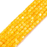 Natural Freshwater Shell Beads Strands for DIY Jewelry Making