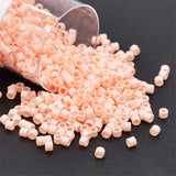10g Glass Seed Beads 1.6mm Charm 2000pcs Delica Beads
