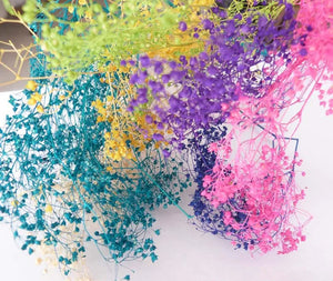 10g Mixed Dry Flower for DIY Glass Bottle Decoration - Random Colors