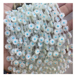 10mm 12mm Daisy Shell Beads for Jewelry Making