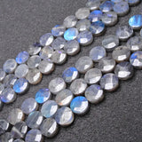 Labradorite Beads 15'' Faceted Coin Gray DIY Loose Beads For Jewelry Making