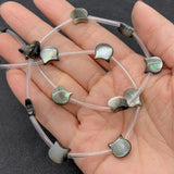 10mm Natural Cat Head Shell Beads Mother of Pearl Cat DIY Jewelry