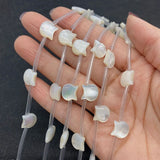 10mm Natural Cat Head Shell Beads Mother of Pearl Cat DIY Jewelry
