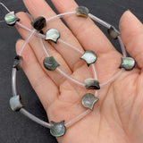 10mm Natural Cat Head Shell Beads Mother of Pearl Cat DIY Jewelry