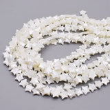 10mm Shell Beads Heart Star Moon Spacer 15inch