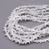 10mm Shell Beads Heart Star Moon Spacer 15inch