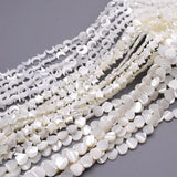 10mm Shell Beads Heart Star Moon Spacer 15inch