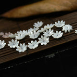 10pcs 10mm Mother Of Pearl Shell Beads for Jewelry Making